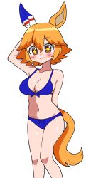 Rule 34 | + +, 1girl, absurdres, animal ears, arm behind back, arm up, bare shoulders, blue bra, blue panties, blush, bra, breasts, cleavage, closed mouth, clover hair ornament, commentary request, daruma doll, ear covers, feet out of frame, flipped hair, four-leaf clover hair ornament, hair between eyes, hair ornament, highres, horse ears, horse girl, horse tail, matikanefukukitaru (umamusume), medium breasts, navel, panties, short hair, simple background, single ear cover, smile, sodeshita marshmallow, solo, stomach, tail, umamusume, underwear, underwear only, white background, yellow eyes