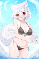 1girl :d alternate_costume animal_ear_fluff animal_ears bikini black_bikini blue_sky blush breasts cloud collarbone cowboy_shot fang front-tie_bikini_top front-tie_top inubashiri_momiji large_breasts looking_at_viewer navel o-ring o-ring_top open_mouth outdoors red_eyes rururiaru see-through_clothes see-through_shirt shirt short_hair side-tie_bikini_bottom single_off_shoulder skin_fang sky smile solo swimsuit touhou wading water water_drop white_hair white_shirt wolf_ears wolf_girl wringing_clothes