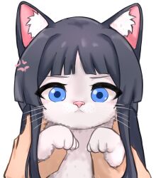 anger_vein animal animal_ear_fluff animal_ears animalization black_hair blue_eyes cat cat_ears commission highres holding holding_animal holding_cat idolmaster idolmaster_million_live! jinoyou light_blush long_hair looking_at_viewer mogami_shizuka pixiv_commission pov serious sidelocks upper_body whiskers white_background white_cat