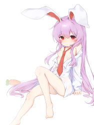 Rule 34 | 1girl, animal ears, blush, breasts, buttons, carrot, feet, highres, knee up, long hair, necktie, nipples, open clothes, open shirt, panties, purple hair, rabbit ears, rabbit girl, red eyes, red necktie, reisen udongein inaba, see-through clothes, see-through shirt, shirt, simple background, sitting, small breasts, solo, thighs, toes, touhou, underwear, white background, white panties, white shirt, yuanyuanshao
