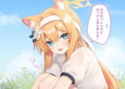 1girl animal_ear_fluff animal_ears blue_archive blue_eyes crossed_bangs double-parted_bangs flower hair_flower hair_ornament halo highres knees_to_chest looking_at_viewer mari_(blue_archive) mari_(track)_(blue_archive) orange_hair ponytail sasakichi_(ssk_chi) shirt smile solo sweat teeth upper_teeth_only white_shirt yellow_halo