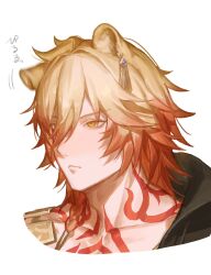 Rule 34 | 1boy, :&lt;, absurdres, animal ears, asymmetrical clothes, blonde hair, body markings, braid, closed mouth, collarbone, gradient hair, hair between eyes, highres, honkai: star rail, honkai (series), kemonomimi mode, lion boy, lion ears, looking ahead, male focus, matuka10101, multicolored hair, mydei (honkai: star rail), red hair, side braid, simple background, single braid, solo, white background, yellow eyes