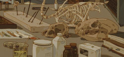 ambiguous_yellow_liquid animal_skeleton animal_skull avian_skeleton biology bird_skull book book_stack bookmark bottle brown_feathers brown_glassware cabinet cat_skull chemicals commentary desk english_commentary feathers file_cabinet glass_bottle glass_stirring_rod green_feathers highres indoors laboratory_glassware leaf making-of_available measuring_glass mounted_skull original petri_dish scribble_text skeleton spray_bottle table taxidermy xi_zhang zoological_specimen zoology