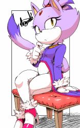 1girl animal_ears argento artist_name blaze_the_cat breasts female_focus furry furry_female highres sitting sonic_(series) tail