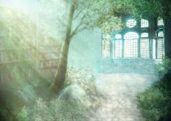 Rule 34 | abandoned, bookshelf, chinese commentary, commentary request, day, indoors, light rays, mixed-language commentary, nature, no humans, original, overgrown, plant, scenery, sunbeam, sunlight, tree, window, zaq (pgvc4472)