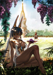 1girl animal_ears barefoot black_hair blue_eyes breasts cleavage closed_eyes colored_inner_hair commentary_request corset dappled_sunlight dark-skinned_female dark_skin day fingernails food fruit full_body grapes highres jackal_ears jewelry jungle large_breasts leg_up lips long_hair multicolored_hair nature neck_ring original pasties pendant plate see-through_clothes see-through_skirt silver_hair sitting skirt solo sunlight thick_thighs thighs toes topless_female tower two-tone_hair zm
