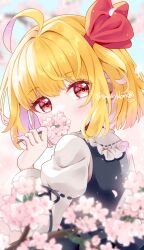 1girl ahoge black_ribbon black_vest blonde_hair blurry blurry_foreground bow cherry_blossoms day flower from_behind hair_bow highres holding holding_flower looking_at_viewer looking_back medium_hair outdoors petals pink_flower red_bow red_eyes ribbon ribbon-trimmed_sleeves ribbon_trim rumia sakuyabm shirt solo spring_(season) touhou twitter_username vest white_shirt