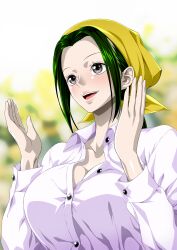 Rule 34 | 1girl, green hair, makino (one piece), nel-zel formula, one piece