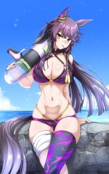 1girl absurdres animal_ears bandaid bandaid_on_face bandaid_on_nose bikini breasts ear_ornament g_(genesis1556) hair_between_eyes highres horse_ears horse_girl horse_tail large_breasts long_hair looking_at_viewer mouth_hold narita_brian_(umamusume) navel ponytail purple_hair single_thighhigh stalk_in_mouth swimsuit tail thighhighs umamusume yellow_eyes