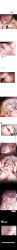 3girls absurdres biting biting_another&#039;s_lip black_background blonde_hair blood blue_eyes blush breath bright_pupils brown_hair claw_mark clawing commentary completely_nude english_commentary eye_contact fingering fingernails french_kiss hand_up heavy_breathing highres honkai_(series) honkai_impact_3rd imminent_kiss incredibly_absurdres kiss lantern_(honkai_impact) licking_lips long_image looking_at_another multiple_girls navel nipples nude nyeppu open_mouth paid_reward_available parted_lips purple_eyes pussy saliva songque stomach tall_image thelema_nutriscu tongue tongue_out white_hair white_pupils yuri