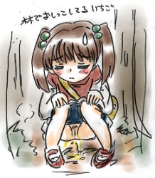 1girl amano_ichigo bag blue_shorts blush brown_hair closed_eyes clothes_pull flat_chest forest grass hair_bobbles hair_ornament loli long_hair long_sleeves mary_janes nature peeing pubic_hair puddle pussy red_shirt red_shoes relief shirt shoes shorts shorts_pull skirt socks squatting steam su_(pixiv_263717) sweatdrop tree twintails uncensored white_skirt white_socks yumeiro_patissiere