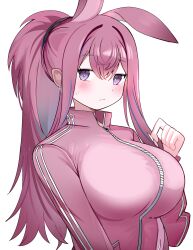 1girl absurdres animal_ears arknights blush breasts bright_pupils closed_mouth hair_between_eyes highres jacket large_breasts long_hair long_sleeves looking_at_viewer multicolored_hair pink_hair pink_jacket ponytail purple_eyes purple_hair ray_(arknights) sidelocks simple_background solo spam_(spamham4506) streaked_hair track_suit upper_body white_background white_pupils zipper zipper_pull_tab