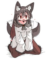 1girl animal_ear_fluff animal_ears blush breasts brown_hair collarbone dress full_body hair_between_eyes heart heart-shaped_pupils imaizumi_kagerou kasuya_baian large_breasts long_dress long_hair open_mouth orange_eyes smile symbol-shaped_pupils tail tail_wagging touhou very_long_hair wolf_ears wolf_girl wolf_tail