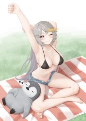 1girl absurdres animal arm_behind_head armpits arms_up artist_request bare_arms bare_shoulders bikini bikini_top_only bird black_bikini blue_shorts breasts brown_eyes cleavage closed_mouth commission cutoffs denim denim_shorts empress_(last_origin) gradient_hair grey_hair halterneck highres indian_style large_breasts last_origin long_hair looking_at_viewer mat micro_shorts multicolored_hair navel one_eye_closed open_fly penguin second-party_source shorts sitting smile solo stomach streaked_hair stretching string_bikini swept_bangs swimsuit thighs very_long_hair