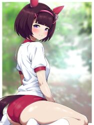 Rule 34 | 1girl, animal ears, ass, blush, breasts, buruma, from behind, headband, highres, horse ears, horse girl, horse tail, looking at viewer, looking back, nishino flower (umamusume), norio (pheromosa times), purple eyes, red buruma, shirt, short hair, sitting, small breasts, socks, solo, tail, umamusume, wariza, white shirt, white socks