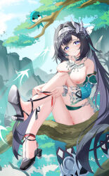 1girl absurdres anus aqua_bird aqua_sleeves bare_shoulders bird bird_hair_ornament black_footwear black_hair blush breasts breasts_out censored chinese_commentary collarbone commentary_request day detached_sleeves fingernails genshin_impact hair_between_eyes hair_ornament hairband high_heels highres in_tree jndfh lan_yan_(genshin_impact) large_breasts large_variant_set long_hair looking_at_viewer mosaic_censoring nipples outdoors parted_lips pixiv_logo pixiv_username purple_eyes pussy sitting sitting_in_tree sitting_on_branch solo tree variant_set very_long_hair white_hairband