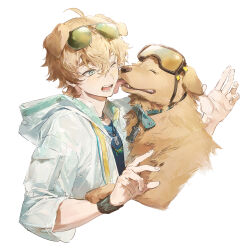 Rule 34 | 1boy, animal, animal ears, arknights, armband, arms up, black shirt, blonde hair, blue eyes, bone charm, collar, commentary, crew neck, cropped torso, dog, dog boy, dog ears, eyewear on head, fingernails, goggles, goggles on head, golden retriever, hair between eyes, hashtag-only commentary, highres, hood, hood down, hooded jacket, jacket, jewelry, licking, liyu li, male focus, necklace, one eye closed, open clothes, open jacket, open mouth, shirt, shoulder pouch, sunglasses, teeth, tequila (arknights), tongue, tongue out, white jacket