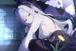 1girl bow bowtie center_frills flower frills holding holding_umbrella hosun long_sleeves mole mole_under_eye pointy_ears purple_bow purple_bowtie purple_umbrella sideboob_cutout solo squatting umbrella vivian_banshee zenless_zone_zero