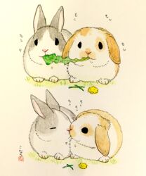 accidental_kiss animal animal_couple animal_focus animals_kissing brown_fur commentary_request couple dandelion dewlap eating flower fluffy grass grey_fur kiss konatsu_tunacan leaf lop_rabbit no_humans original painting_(medium) rabbit simple_background solid_oval_eyes surprise_kiss surprised traditional_media translation_request watercolor_(medium) white_fur