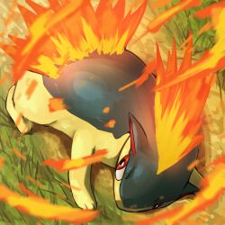 Rule 34 | absurdres, blue fur, fire, from above, gen 2 pokemon, grass, highres, nintendo, no humans, outdoors, pokemon, pokemon (creature), quilava, red eyes, solo, spicyichizo, two-tone fur, yellow fur