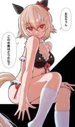 1girl absurdres animal_ears bikini black_bikini commentary_request curren_chan_(umamusume) enukee feet_out_of_frame frilled_bikini frills grey_hair highres horse_ears horse_girl horse_tail looking_at_viewer red_eyes short_hair socks solo swimsuit tail translated umamusume white_socks