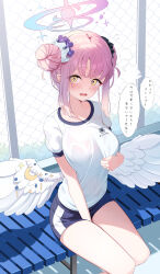 1girl absurdres alternate_costume alternate_hairstyle arm_between_legs black_shorts blue_archive blush breasts chain-link_fence commentary_request double_bun feathered_wings fence gym_shirt gym_shorts hair_bun halo highres large_breasts looking_at_viewer low_wings mika_(blue_archive) pink_hair pink_halo puffy_short_sleeves puffy_sleeves see-through_clothes see-through_shirt shirt short_shorts short_sleeves shorts sikimosh sitting solo surprised thighs translation_request trinity_general_school_logo white_shirt white_wings wing_ornament wings yellow_eyes