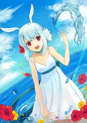 1girl animal_ears blue_choker blue_hair blue_sky choker collarbone djmax djmax_technika dress flower hair_flower hair_ornament hibiscus highres hydrokinesis kaeru_(csit24) looking_at_viewer no_nose open_mouth rabbit_ears red_eyes red_flower short_hair sky solo suee water white_dress yellow_flower