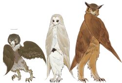 3girls animal_feet body_fur brown_eyes brown_hair brown_wings claws commentary english_commentary feathered_wings full_body half-harpy harpy highres looking_at_viewer monster_girl multiple_girls neck_fur original senmaze simple_background standing white_background winged_arms wings yellow_eyes