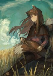 1girl absurdres animal_ears black_capelet blue_sky capelet comb crate day fox_ears fox_tail highres holding holding_comb holo jewelry kornod long_hair looking_to_the_side on_grass pendant pouch sky solo spice_and_wolf tail
