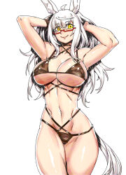 1girl ahoge animal_ears armpits arms_up bikini biwa_hayahide_(umamusume) black_bikini breasts commentary_request cowboy_shot criss-cross_halter glasses grey_hair halterneck highres horse_ears horse_girl horse_tail large_breasts looking_at_viewer minew navel red-framed_eyewear semi-rimless_eyewear simple_background smile solo stomach swimsuit tail umamusume white_background yellow_eyes