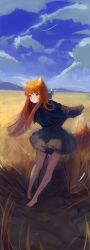 Rule 34 | 1girl, absurdres, animal ear fluff, animal ears, bare legs, barefoot, black capelet, blue sky, blush, brown eyes, brown hair, brown tail, capelet, closed mouth, cloud, day, dress, frilled dress, frills, full body, grey dress, highres, holo, leaning forward, legs, long hair, long sleeves, looking at viewer, outdoors, psh5528, sidelocks, sky, smile, solo, spice and wolf, standing, tail, toes, very long hair, wheat field, wolf ears, wolf girl, wolf tail