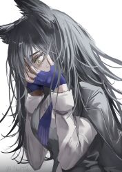 Rule 34 | 1girl, animal ears, arknights, black hair, black jacket, black vest, bolo tie, commentary, covering face, crazy, fingerless gloves, from side, gloves, gradient background, grey background, hands on own face, highres, horobu, jacket, jacket on shoulders, long hair, long sleeves, looking down, messy hair, official alternate costume, purple gloves, scared, shirt, solo, sweatdrop, texas (arknights), texas the omertosa (arknights), upper body, vest, white background, white shirt, wolf ears, wolf girl, worried, yellow eyes