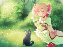 1girl animal black_cat bow bow_choker bubble_skirt bush cat choker day dress frilled_skirt frilled_sleeves frills from_side gloves grass hair_bow interlocked_fingers kaname_madoka kaname_madoka_(magical_girl) looking_at_viewer magical_girl mahou_shoujo_madoka_magica mahou_shoujo_madoka_magica_(anime) outdoors own_hands_together pink_dress pink_eyes pink_hair puffy_short_sleeves puffy_sleeves red_choker red_shoes risheng_yueyin shoes short_hair short_sleeves short_twintails skirt smile squatting twintails white_gloves white_skirt