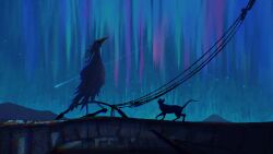 Rule 34 | absurdres, aurora, bird, cat, commentary request, fangpeii, highres, hill, night, night sky, no humans, on roof, original, power lines, shooting star, silhouette, sky, star (sky), starry sky