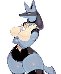 animal_ears beige_fur black_fur blue_fur breasts choker dog_ears dog_girl dog_tail ear_piercing furry furry_female gen_4_pokemon large_breasts lucario nintendo piercing pokemon pokemon_(creature) red_eyes spikes tail thick_thighs thighhighs thighs usa37107692 wide_hips