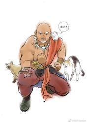 1boy animal animal_on_shoulder bald bara beard bull cat cat_on_shoulder clenched_hands dark-skinned_male dark_skin ears_down facial_hair full_body goatee hissing jewelry junsun looking_at_viewer male_focus mature_male muscular muscular_male mustache necklace old old_man original painterly pants pectorals red_pants sash skull_necklace solo thick_eyebrows tooth_necklace torn_clothes torn_pants traditional_media tribal watermark weibo_watermark white_background