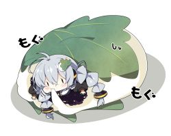 1girl :t antenna_hair black_jacket braid brown_eyes closed_mouth commentary_request eating food food-themed_hair_ornament food_request grey_hair hair_between_eyes hair_ornament headphones headset highres in_food jacket kashiwa_mochi_(food) kizuna_akari long_hair long_sleeves milkpanda mini_person minigirl mochi puffy_cheeks puffy_long_sleeves puffy_sleeves shadow solid_oval_eyes solo sweat translation_request twin_braids twintails very_long_hair voiceroid wavy_mouth white_background