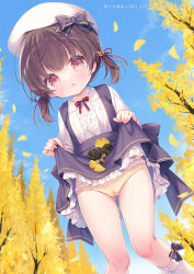 1girl :d acorn beret black_bow black_skirt bow brown_eyes brown_hair cameltoe center_frills cloud collared_shirt commentary_request day feet_out_of_frame female_focus frilled_socks frills ginkgo_leaf ginkgo_tree gluteal_fold hair_ornament hat hat_bow knees_together_feet_apart leaf loli looking_at_viewer low_twintails open_mouth original outdoors panties petals pinecone rabbit_hair_ornament red_bow shirt short_sleeves short_twintails skirt skirt_basket smile socks solo standing suspender_skirt suspenders tree twintails underwear usashiro_mani white_hat white_shirt white_socks yellow_panties