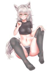 1girl absurdres animal_ears black_shorts breasts crop_top cutoffs denim denim_shorts echidna_wars_dx grey_hair highres long_hair medium_breasts midriff milia_wars navel ptal sachiho short_shorts shorts simple_background smile solo tail thighhighs wolf_ears wolf_girl wolf_tail yellow_eyes