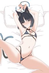 Rule 34 | 1girl, 3:, animal ear fluff, animal ears, armpits, arms up, bare arms, bare shoulders, bed sheet, bikini, black choker, black hair, blue archive, blue bikini, blue halo, blush, breasts, bright pupils, cat ears, cat girl, cat tail, choker, closed mouth, commentary, covered erect nipples, embarrassed, feet out of frame, gluteal fold, grey eyes, halo, halterneck, head on pillow, highres, kamitosayu, kikyou (blue archive), kikyou (swimsuit) (blue archive), looking at viewer, medium breasts, multi-strapped bikini bottom, multiple tails, navel, nose blush, official alternate costume, pillow, short hair, simple background, skindentation, solo, spread legs, stomach, swimsuit, tail, thighs, two tails, white background, white pupils