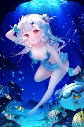 Rule 34 | 1girl, alternate costume, bikini, bikini ribbon, blue bikini, breasts, butterflyfish, center-flap bangs, chestnut mouth, cleavage, clownfish, coral reef, double bun, fish, hair bun, hand up, haruhitooo, highres, hololive, horns, long hair, looking at viewer, medium breasts, nakiri ayame, ocean, poyoyo (nakiri ayame), red eyes, ruffle bikini, scrunchie, skin-covered horns, solo, swimsuit, tropical fish, underwater, virtual youtuber, white hair, wrist scrunchie
