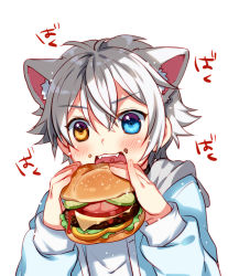1boy animal_ear_fluff animal_ears burger cat_boy cat_ears commentary eating english_commentary food ginjiro_(ginziro525) ginjiro_(vtuber) hair_between_eyes heterochromia holding holding_food indie_virtual_youtuber male_focus meal silver_hair teeth virtual_youtuber white_background
