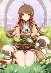 1girl :3 ahoge arch basket black_eyes blurry blush brown_dress brown_eyes brown_hair cabbage carrot closed_mouth cloud corn day depth_of_field donique_(vaniilya) dress flipped_hair food fruit full_body grass hair_ribbon highres holding holding_food lettuce long_hair looking_at_viewer mana_(rune_factory) outdoors outstretched_arms plant red_ribbon ribbon rune_factory rune_factory_2 seiza sheep sitting sketch sky sleeping smile sparkle standing strawberry turnip