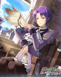 Rule 34 | 1girl, animal on arm, ascot, bird, bird on arm, black pantyhose, chair, cloud, company name, copyright name, curtains, day, dutch angle, eiyuu densetsu, female focus, frills, hair ornament, hairclip, juliet sleeves, kloe rinz, long sleeves, pantyhose, puffy sleeves, purple eyes, purple hair, short hair, sitting, skirt, sky, smile, solo, sora no kiseki, tomi, window