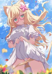 Rule 34 | 1girl, absurdres, ahoge, animal ear fluff, animal ears, blonde hair, blue sky, blush, bow, breasts, cat ears, cat girl, cat tail, closed mouth, clothes lift, cloud, commission, day, dress, dress lift, flower, frilled dress, frilled sleeves, frills, from below, glasses, gluteal fold, green eyes, hair flower, hair ornament, highres, kneeling, lens flare, lifting own clothes, long hair, looking at viewer, medium breasts, original, outdoors, panties, panty pull, petals, pink flower, puffy short sleeves, puffy sleeves, pussy juice, pussy juice trail, red-framed eyewear, round eyewear, shiro9jira, shirt lift, short sleeves, skeb commission, sky, smile, solo, standing, tail, underwear, virtual youtuber, white dress, yellow flower, yellow panties