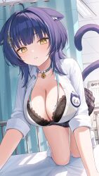 1girl absurdres ahoge all_fours animal_ear_fluff animal_ears bed bell black_bra black_skirt blush bra bra_peek breasts cat_ears cat_girl cat_tail character_request cleavage collared_shirt commentary_request h.live hair_intakes halko_(halonakoma9) highres hospital_bed jingle_bell large_breasts looking_at_viewer multicolored_hair neck_bell neck_ribbon on_bed plaid_clothes plaid_skirt pleated_skirt privacy_screen purple_hair ribbon shirt short_hair skirt sleeves_rolled_up socks solo streaked_hair sweat tail thighs underwear untied_ribbon virtual_youtuber white_hair white_shirt white_socks white_streaks wolf_cut yellow_eyes