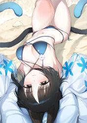 1girl animal_ears bikini black_eyes black_hair blue_archive blue_bikini blue_haori cat_ears cat_girl cat_tail colored_inner_hair criss-cross_straps gradient_tail haori highres japanese_clothes kikyou_(blue_archive) kikyou_(swimsuit)_(blue_archive) layered_bikini looking_at_viewer multicolored_hair multiple_tails navel official_alternate_costume short_hair side-tie_bikini_bottom solo swimsuit tail thigh_gap two_tails upside-down wo_chi_xiangjiao_pi