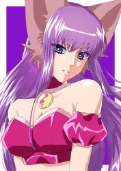1girl animal_ears bare_shoulders blue_eyes border collarbone commentary crop_top cropped_shirt detached_collar detached_sleeves fujiwara_zakuro highres long_hair looking_at_viewer magical_girl mew_zakuro outside_border parted_lips puffy_detached_sleeves puffy_sleeves purple_background purple_hair purple_shirt shirt solo tokyo_mew_mew wataamesaikoh white_border wolf_ears wolf_girl