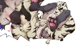 2boys 69 anal_fingering animal_ears anus arknights ass bara black_hair blush cat_nose claws commentary cross_scar dog_nose english_commentary eyebrow_piercing face_piercing fellatio fingering furry furry_male grey_fur heart highres hyena_boy hyena_ears hyena_tail male_focus mountain_(arknights) multicolored_hair multiple_boys muscular muscular_male oral pawpads penis piercing pubic_hair scar scar_across_eye scar_on_face spot_(arknights) spotted_fur streaked_hair tamainu testicles tiger tiger_boy tiger_ears tiger_stripes topless_male upright_69 white_background white_fur white_tiger yaoi