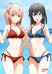 2girls :d bikini black_hair blue_bikini blue_eyes blue_sky breasts cleavage cloud collarbone cowboy_shot hair_bun large_breasts looking_at_viewer medium_breasts multiple_girls navel ocean open_mouth outdoors pink_hair red_bikini red_eyes sakayaya sky smile stomach swimsuit yahari_ore_no_seishun_lovecome_wa_machigatteiru. yuigahama_yui yukinoshita_yukino